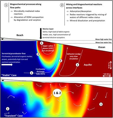 The DynaDeep observatory – a unique approach to study high-energy subterranean estuaries